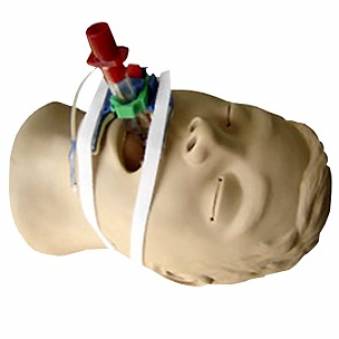 Mordillo Fijador de Tubo Endotraqueal